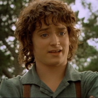 frodo2[1]