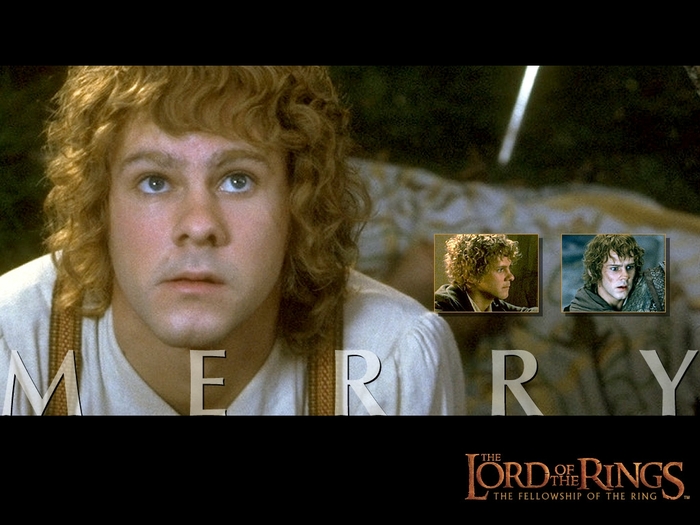 LOTR%20Merry[1]