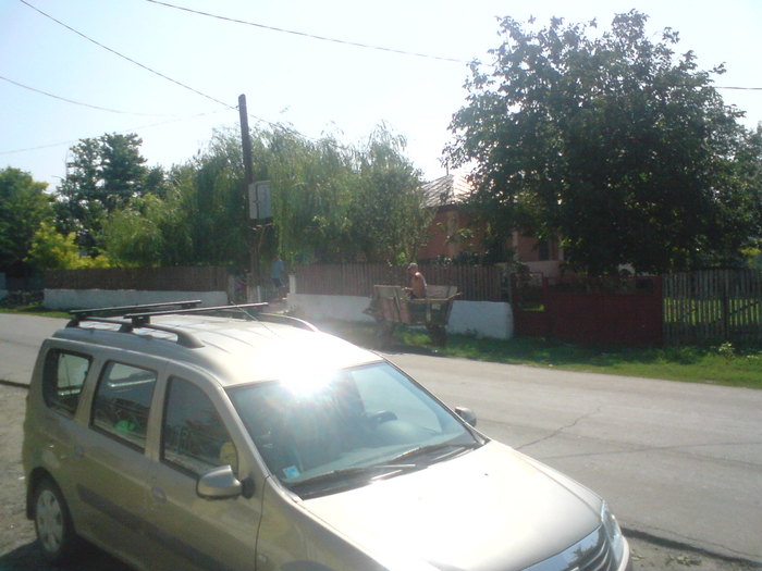 DSC00165 - vara 2010
