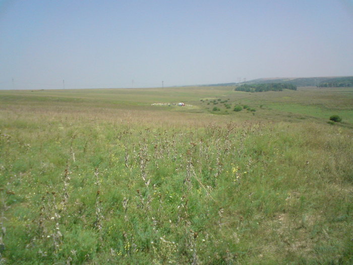 DSC00166 - vara 2010