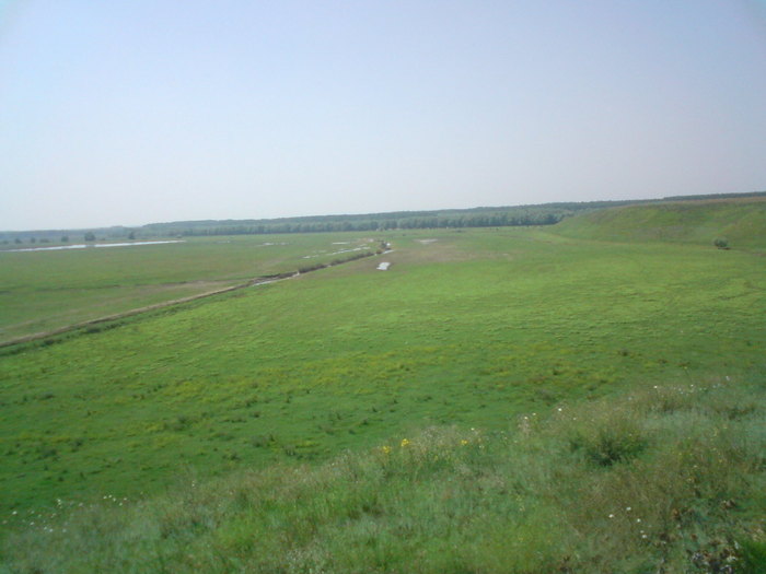 DSC00168; lunca Dunarii la 50 zile dupa revarsare
