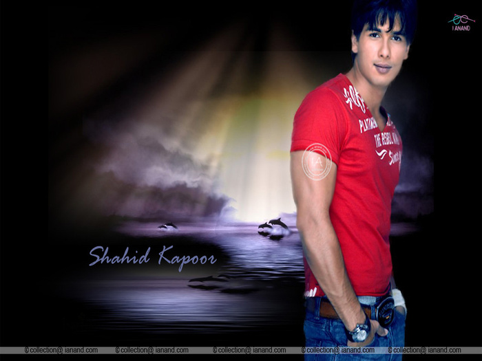 Shahid%20Kapoor%20cute%20672 - SHAHID KAPOOR