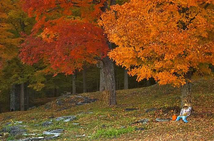 autumn - peisaje de toamna