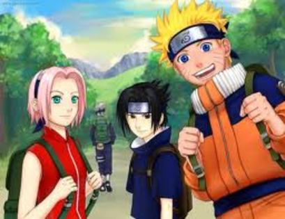 3 - Team 7