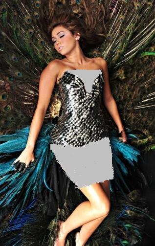 Miley Cyrus (5)