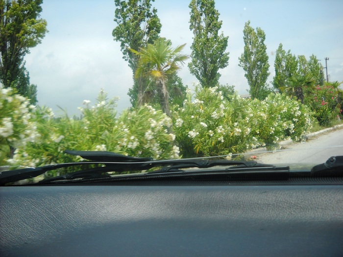 DSCN6353 - grecia 2010