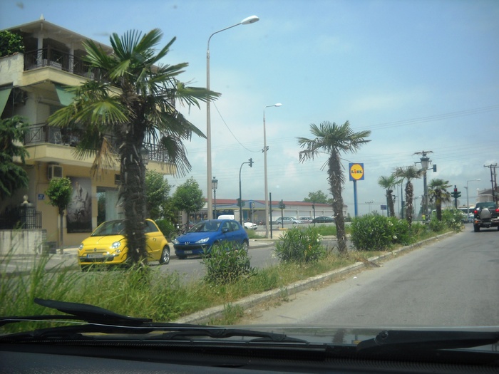 DSCN6360 - grecia 2010