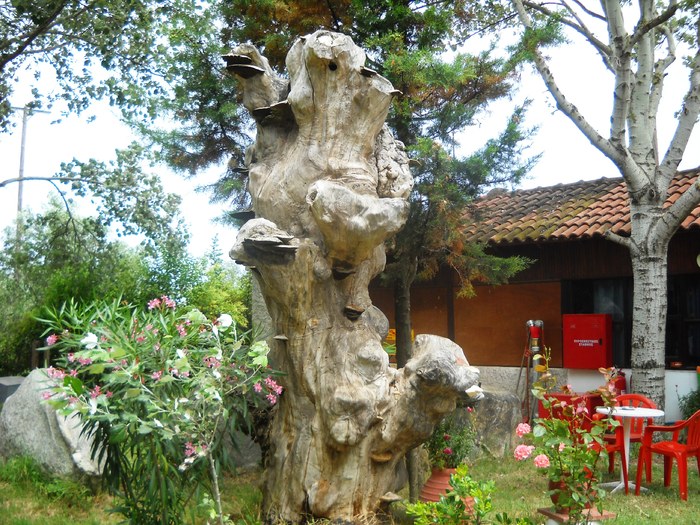 DSCN6379 - grecia 2010