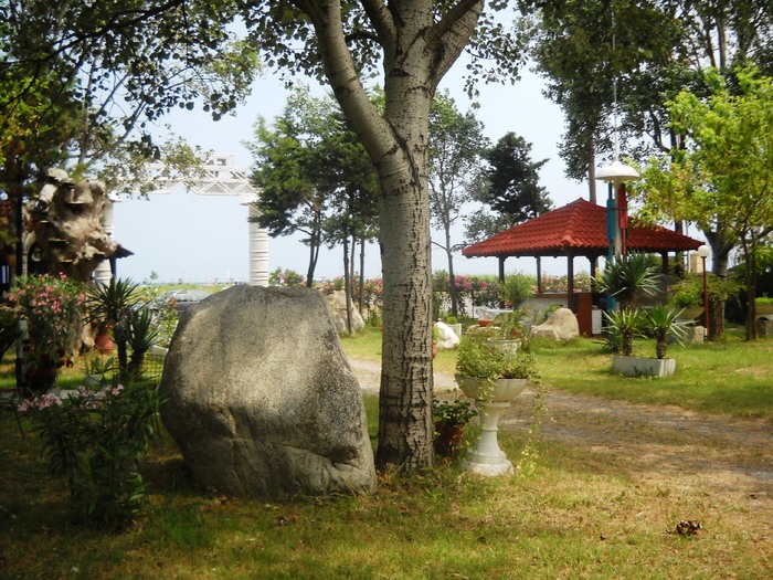 DSCN6387 - grecia 2010