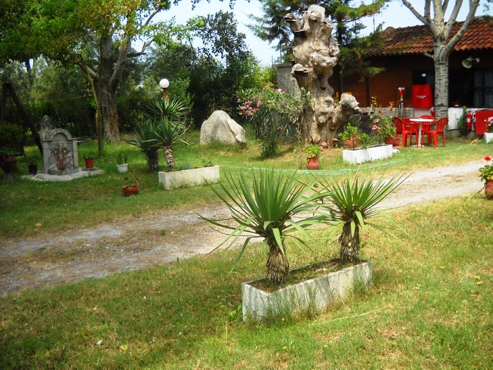 DSCN6423 - grecia 2010