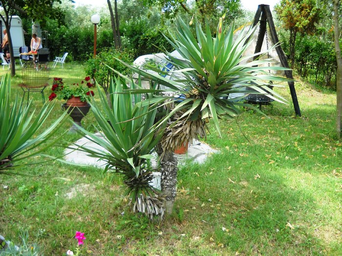 DSCN6431 - grecia 2010