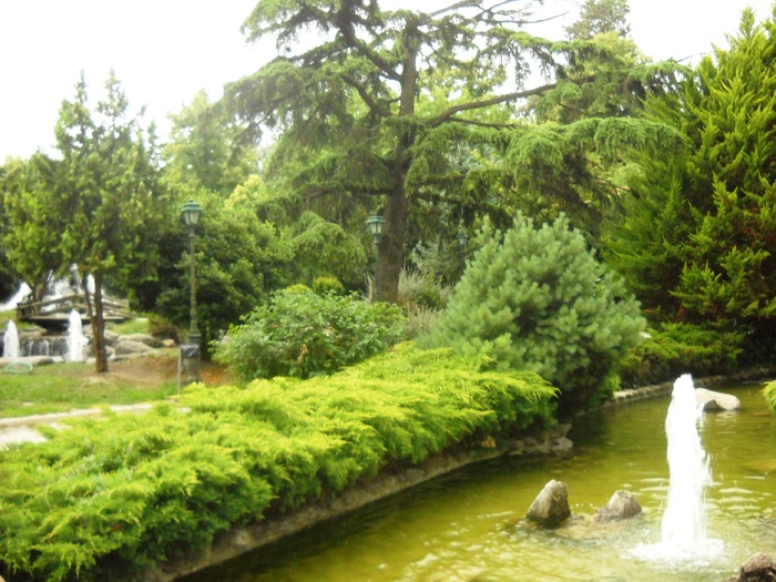 DSCN6503 - grecia 2010