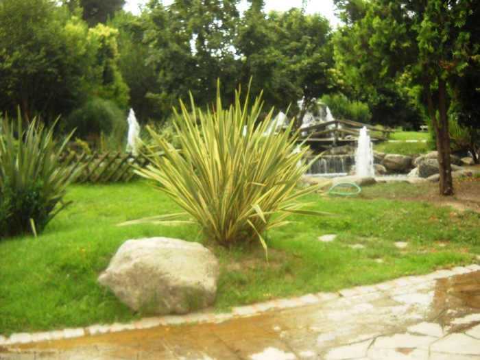 DSCN6510 - grecia 2010