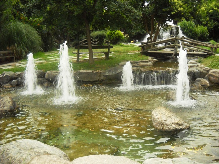 DSCN6511 - grecia 2010