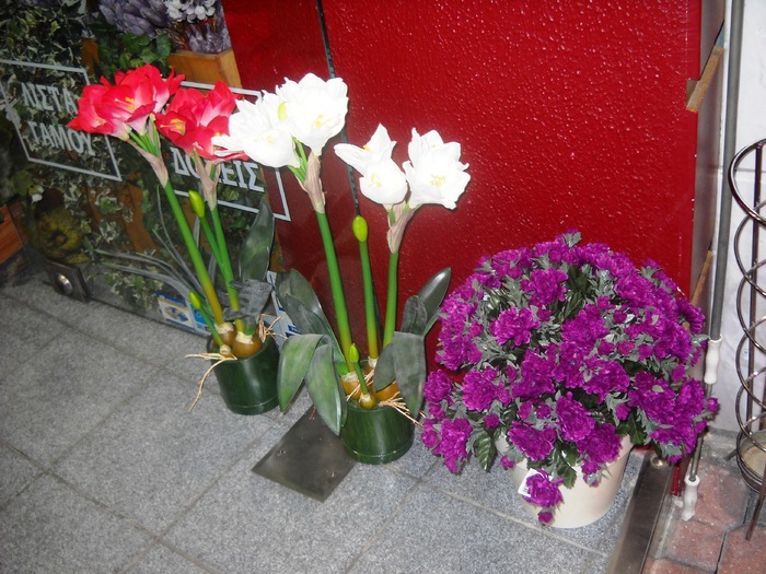 DSCN6528 - grecia 2010