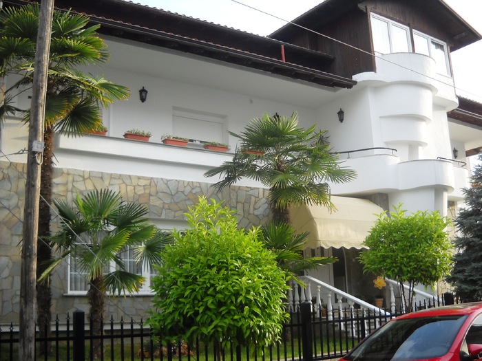 DSCN6604 - grecia 2010