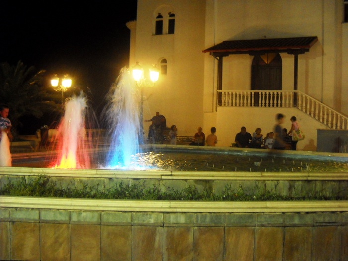 DSCN6659