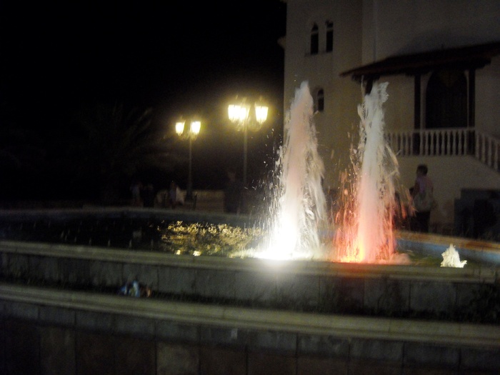 DSCN6666