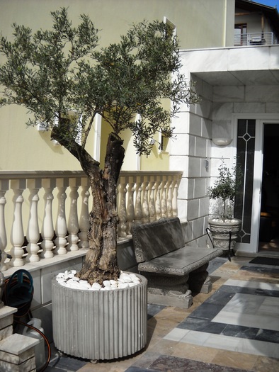 DSCN7118 - grecia 2010