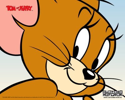 wallpaper1_1280x1024 - poze cu tom si jerry