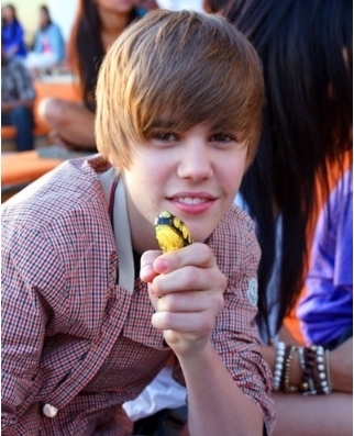 17970232_BXRLODGAE[1] - justin bieber poze frumoase