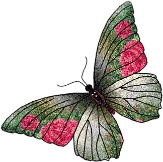 butterfly01 - Butterfly