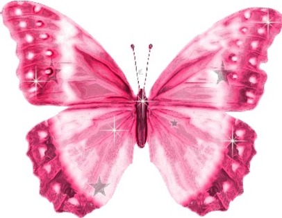 butterfly04 - Butterfly