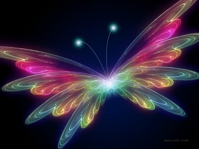 butterflybackgrou - Butterfly