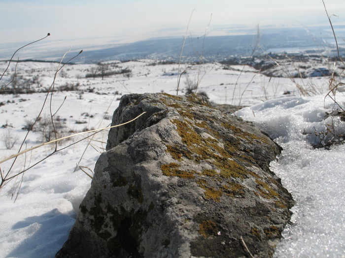 istrita_04feb_34