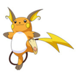 10829262_XQJVHFIXQ - raichu