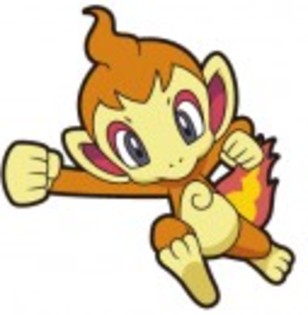 5IDOMHCIBU198PPZCJKGD9E8S - chimchar