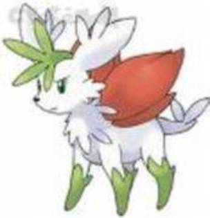 18922241_ELNQGEGBO - 0-0pokemon