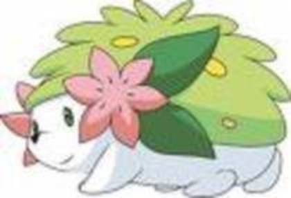 18922243_IGOQSRAXH - 0-0pokemon