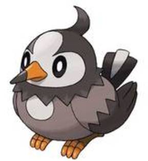 10829311_WDGSBXBAL - 0-0pokemon