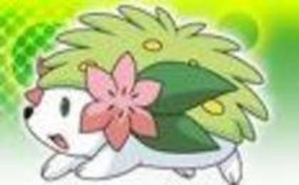18922249_LXPGBBTSH - 0-0pokemon