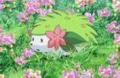 18922253_XZJMHPAXI - 0-0pokemon