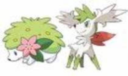 18922275_PIPAEEWKY - 0-0pokemon