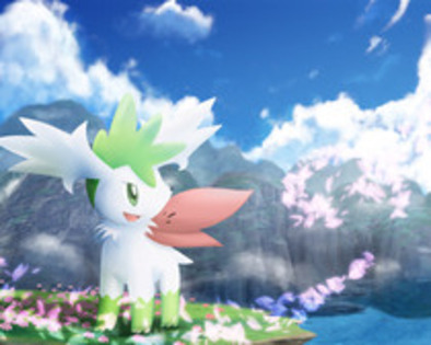 18922490_XPVJDSQSC - 0-0pokemon