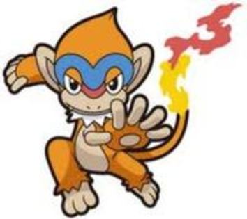 19890393_ARPHODOFF - 0-0pokemon