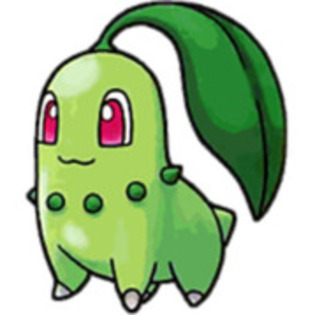 10828902_RIWUCVPQY - chikorita