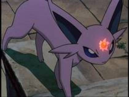 12479339_TZROUUJUZ - 0-0pokemon