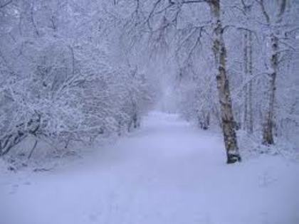 images (1) - peisaje de iarna