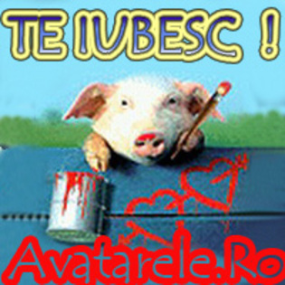 te iubesc!