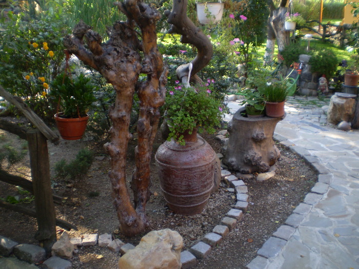 P8270249 - curtea locul de munca