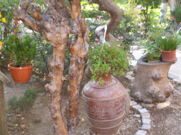 P8270250 - curtea locul de munca