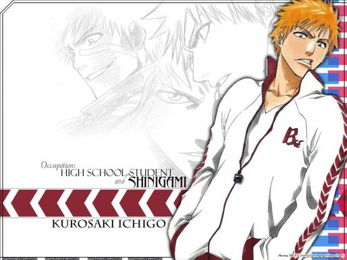 ichigo - 0-Kurosaki Ichigo-0