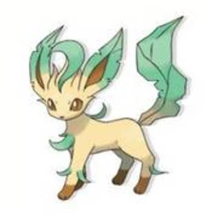 XNPJTZYDHPRWJVNKSBQ - leafeon