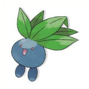 VWGPDAVPIQYLHACAHKY - oddish