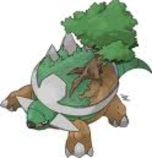 634tyrt - torterra