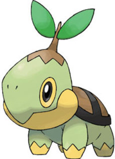 turtwig - turtuing